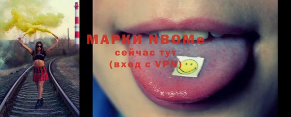 прущие грибы Аркадак