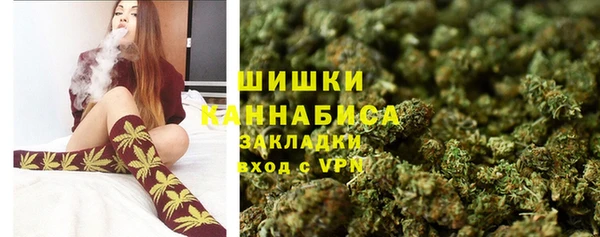 прущие грибы Аркадак